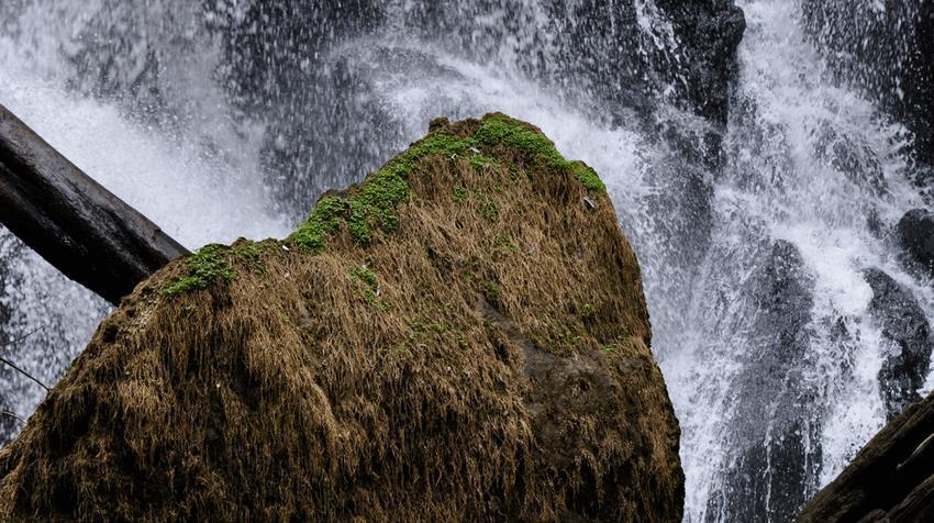 Hotel Sierpe River Dış mekan fotoğraf